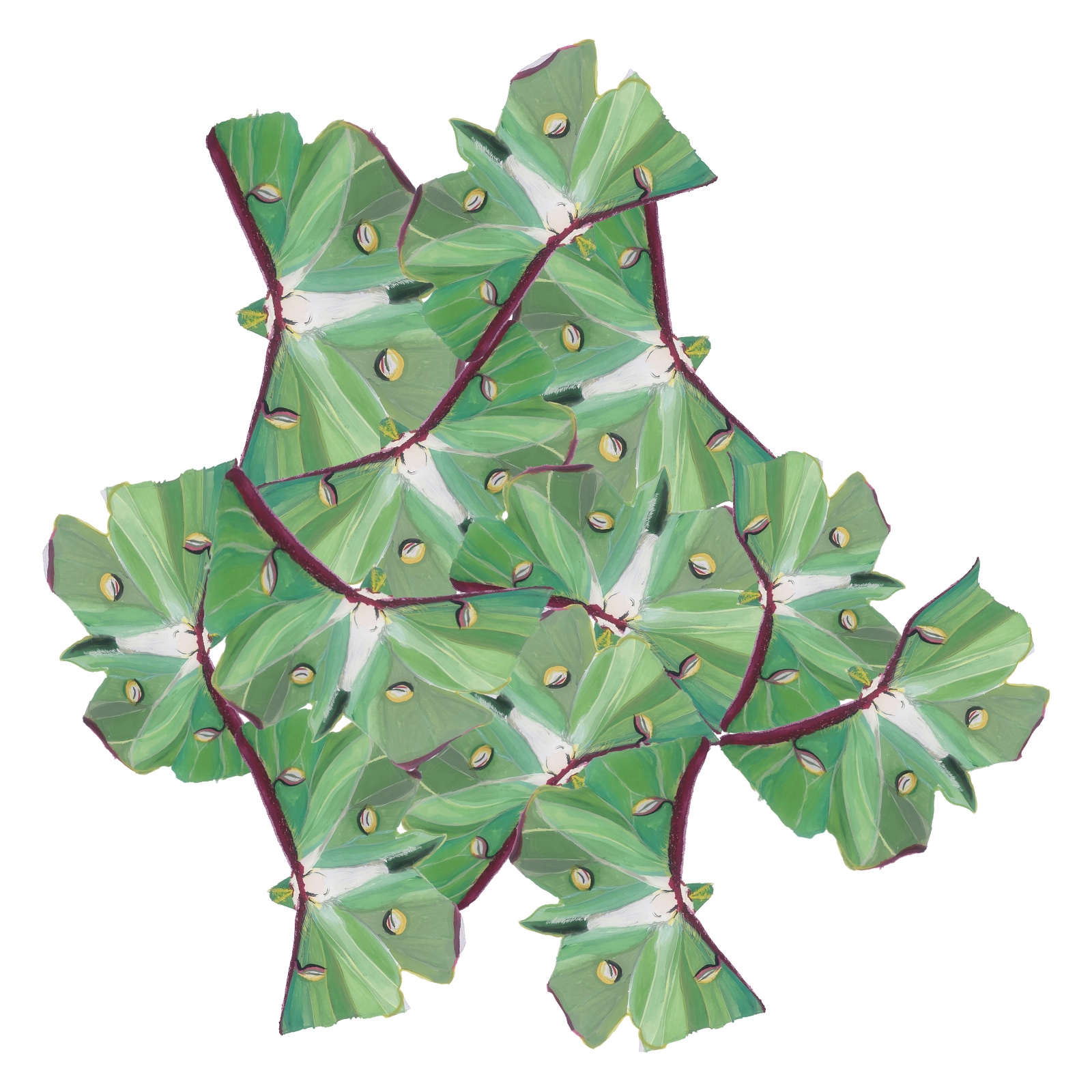 Art Image 11